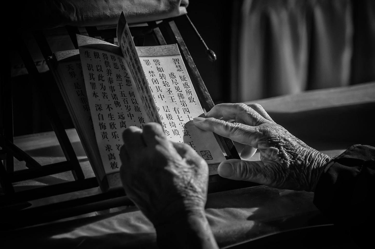 פטריות מרפא ברפואה היפנית: מסורת, מדע והכוח המרפא של הטבע