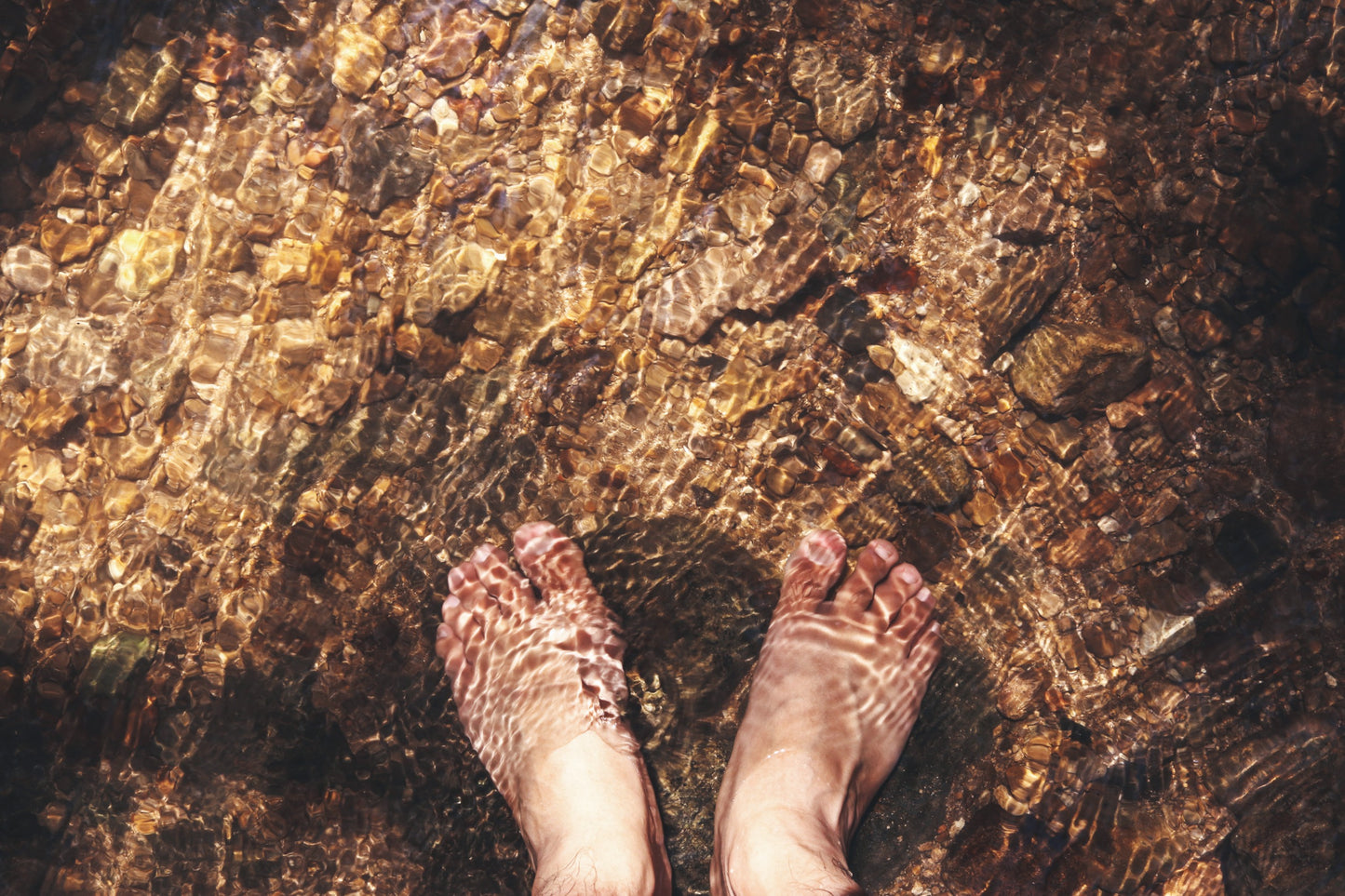 התקרקעות (Grounding): המדריך השלם לחיבור טבעי לבריאות הגוף והנפש