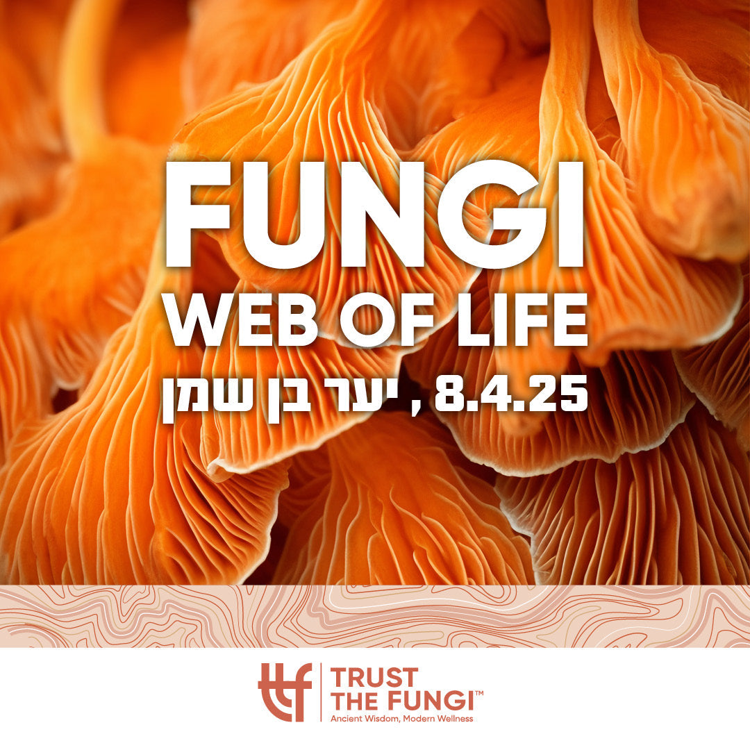 Trust The Fungi חוגגים את האביב עם חוויות ייחודיות בטבע! 🌿🍄✨