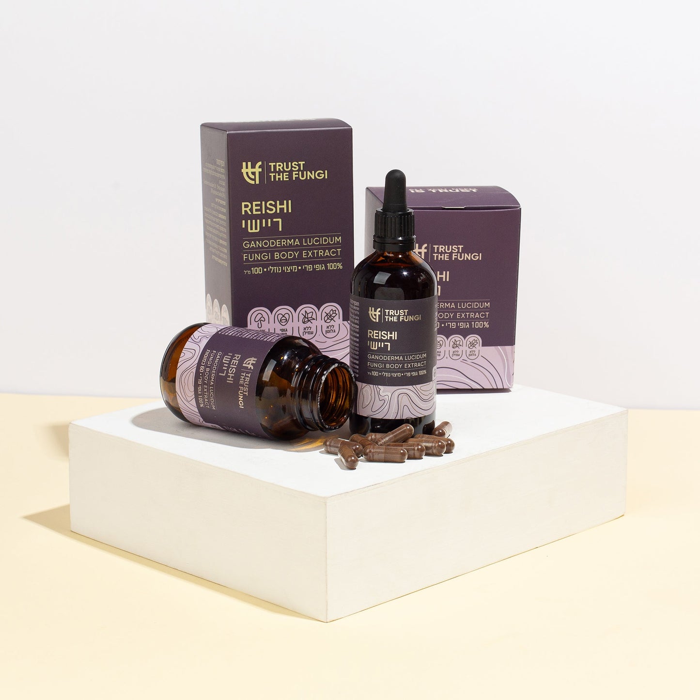 פטריית הריישי לטיפול בסטרס: מחקר קליני מצא שיפור בחרדה, חיוניות וכושר לב-ריאה