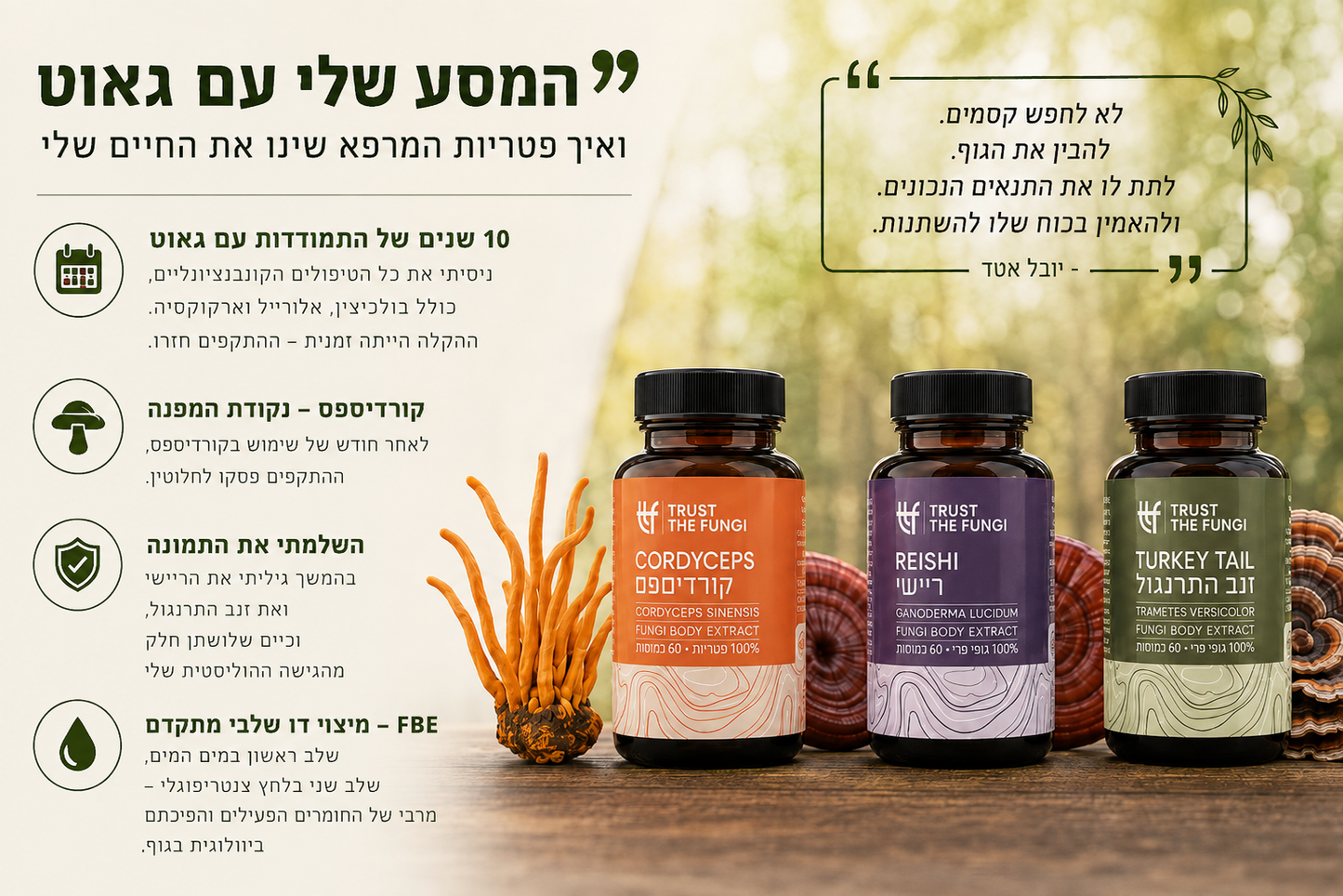 המסע שלי עם גאוט (שיגדון)  – ואיך פטריות המרפא שינו את הדרך שבה אני מסתכל על בריאות
