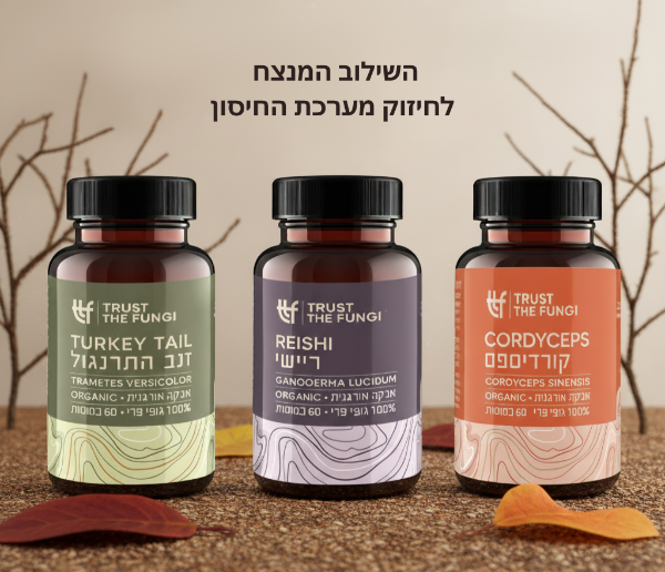 קולקציית חורף בריא