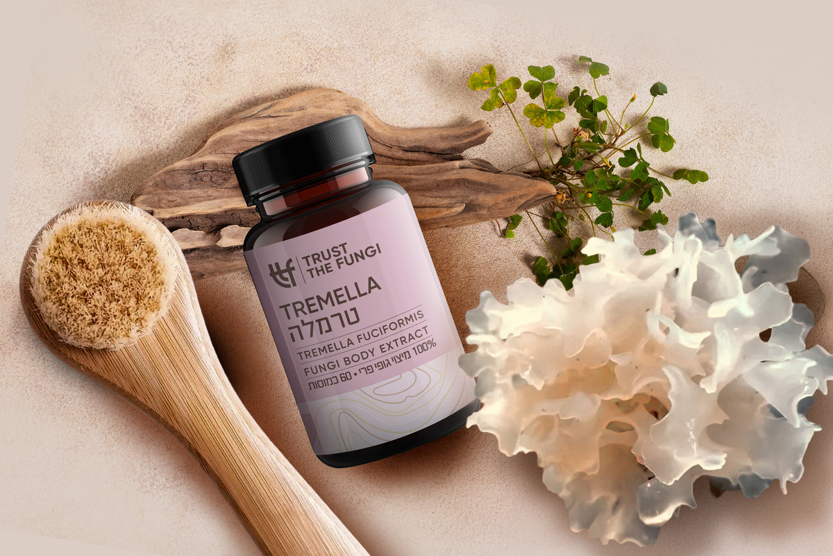 כמוסות פטריית טרמלה Tremella fuciformis מיצוי 100% גופי פרי בשיטת FBE