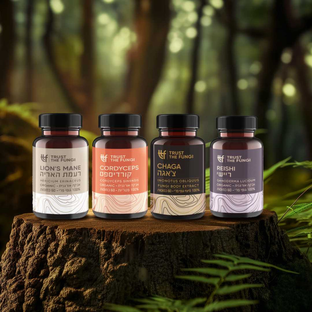 
                  
                    מארז מוח חד - צ'אגה + קורדיספס + ריישי + רעמת האריה - מיצוי 100% פטריות בשיטת FBE
                  
                