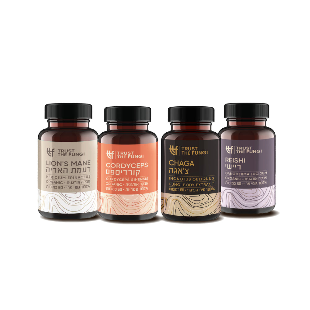 מארז מוח חד - צ'אגה + קורדיספס + ריישי + רעמת האריה - מיצוי 100% פטריות בשיטת FBE