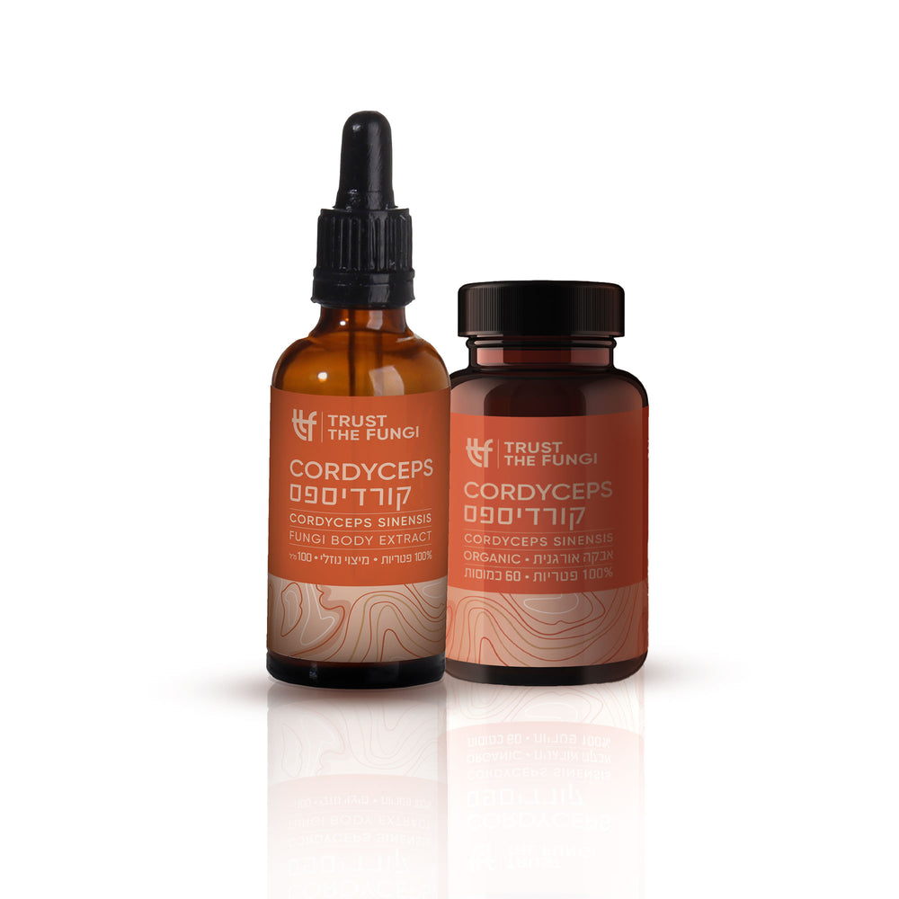 באנדל מיצוי+ כמוסות - פטריית קורדיספס (CORDYCEPS) - 100% פטריות בשיטת FBE