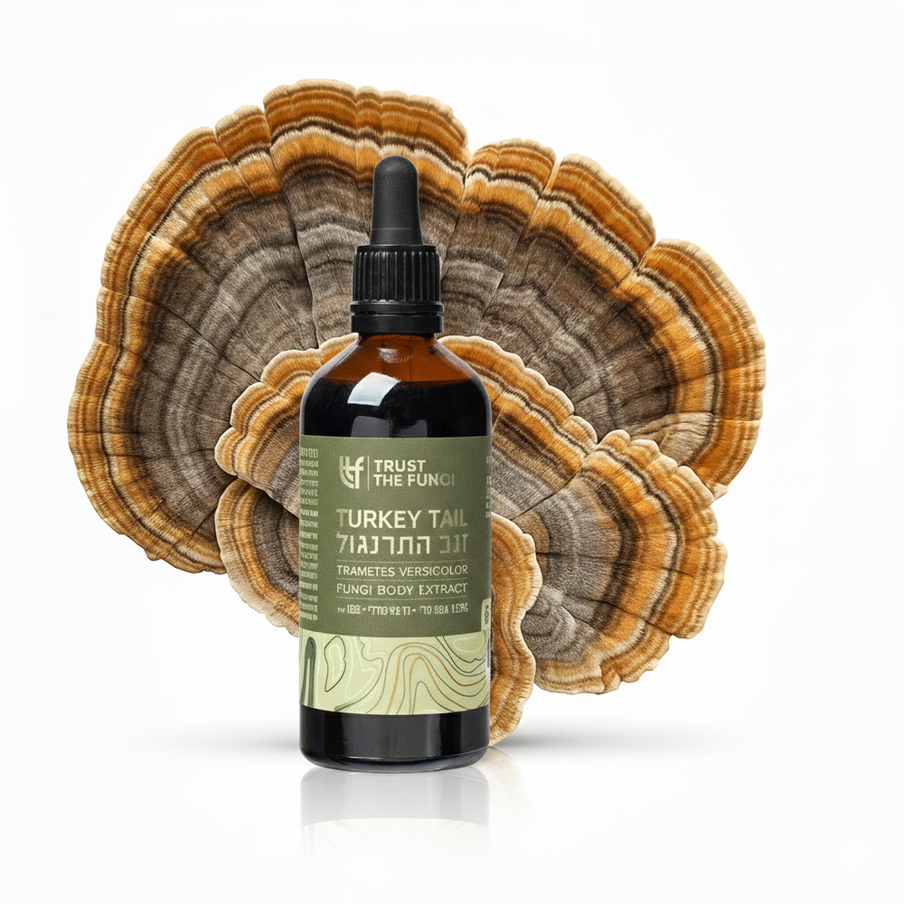 פטריית זנב התרנגול Turkey Tail- מיצוי נוזלי 100% גופי פרי בשיטת FBE