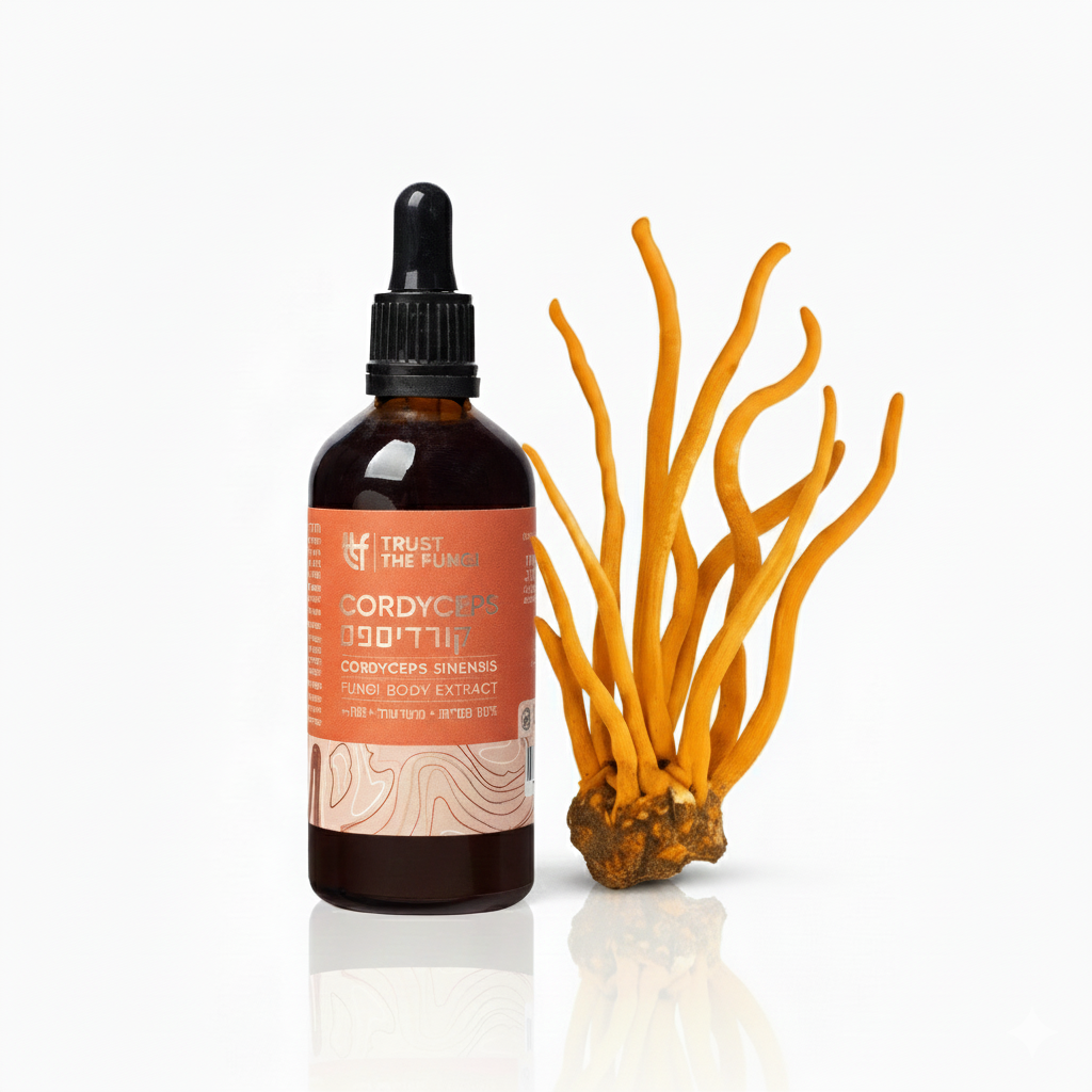 פטריית קורדיספס Cordyceps - מיצוי נוזלי 100% פטריות בשיטת FBE
