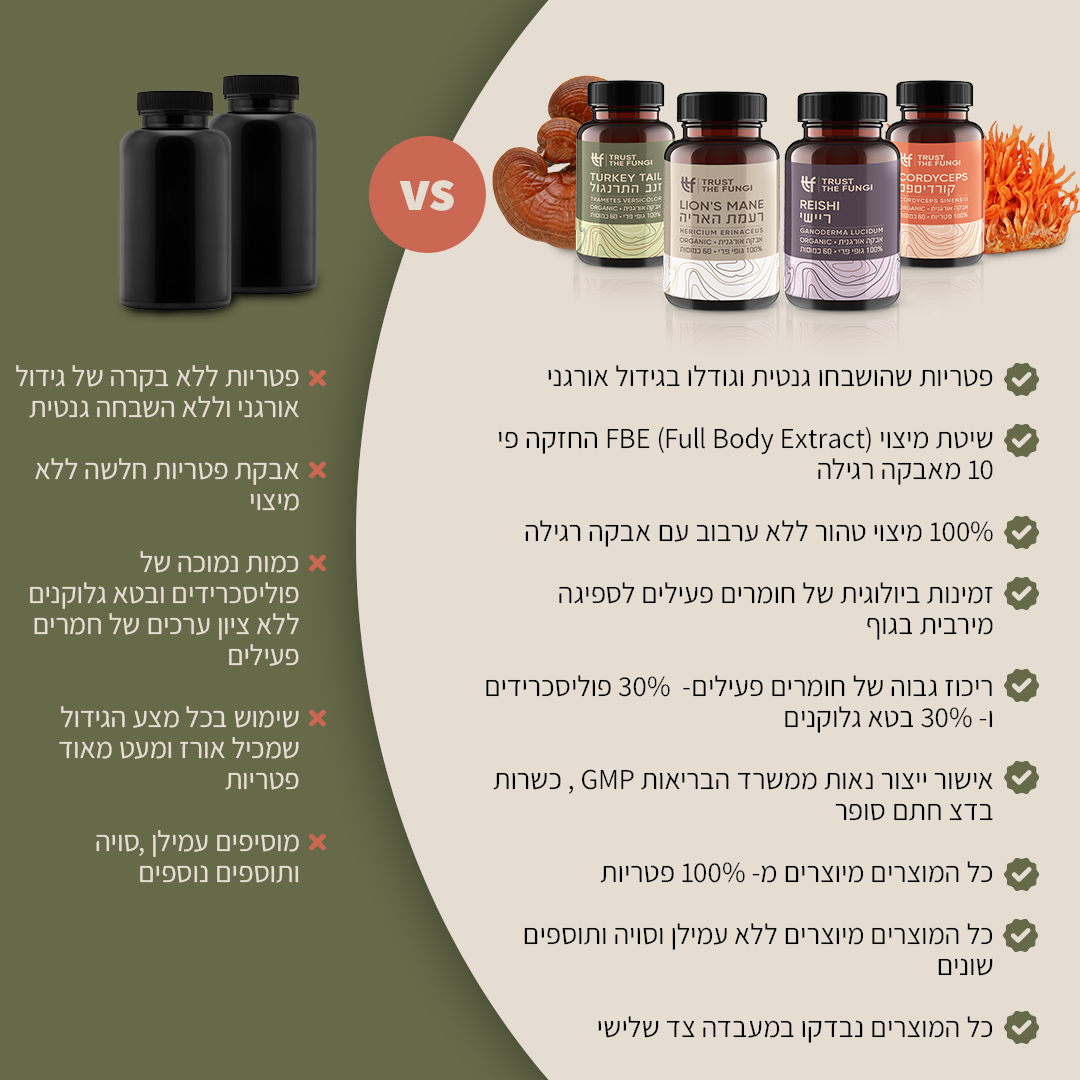 
                  
                    משולש העוצמה - אנרגיה, המוח והחיסון - קורדיספס + רעמת האריה + זנב התרנגול  - מיצוי 100% פטריות בשיטת FBE
                  
                