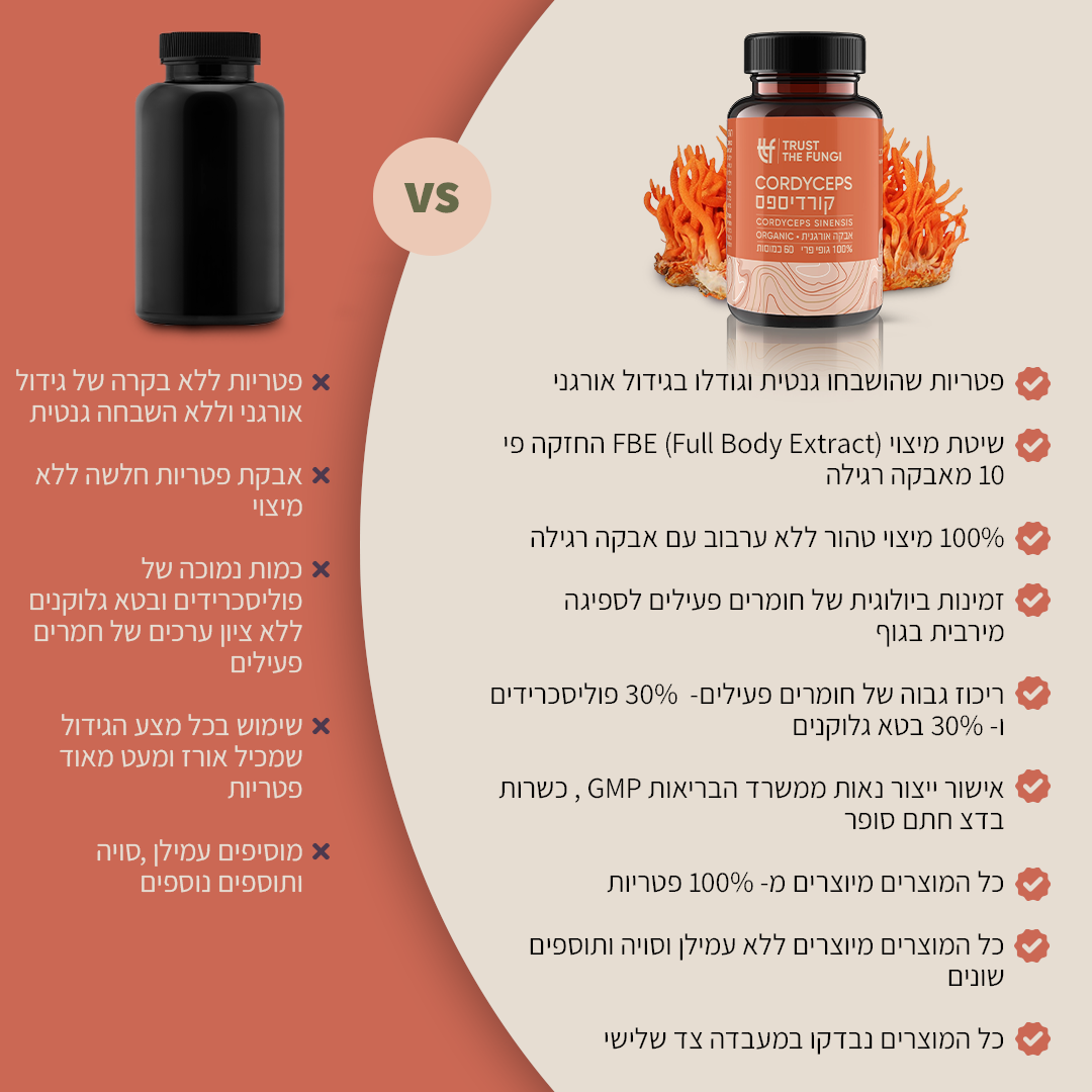 משולש האיזון - רוגע ,מוח ואנרגיה - קורדיספס + ריישי + רעמת האריה  - מיצוי 100% פטריות בשיטת FBE