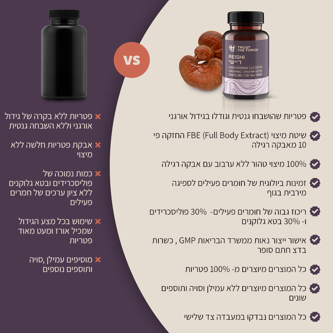 כמוסות פטריית ריישי Ganoderma Lucidum מיצוי 100% גופי פרי בשיטת FBE