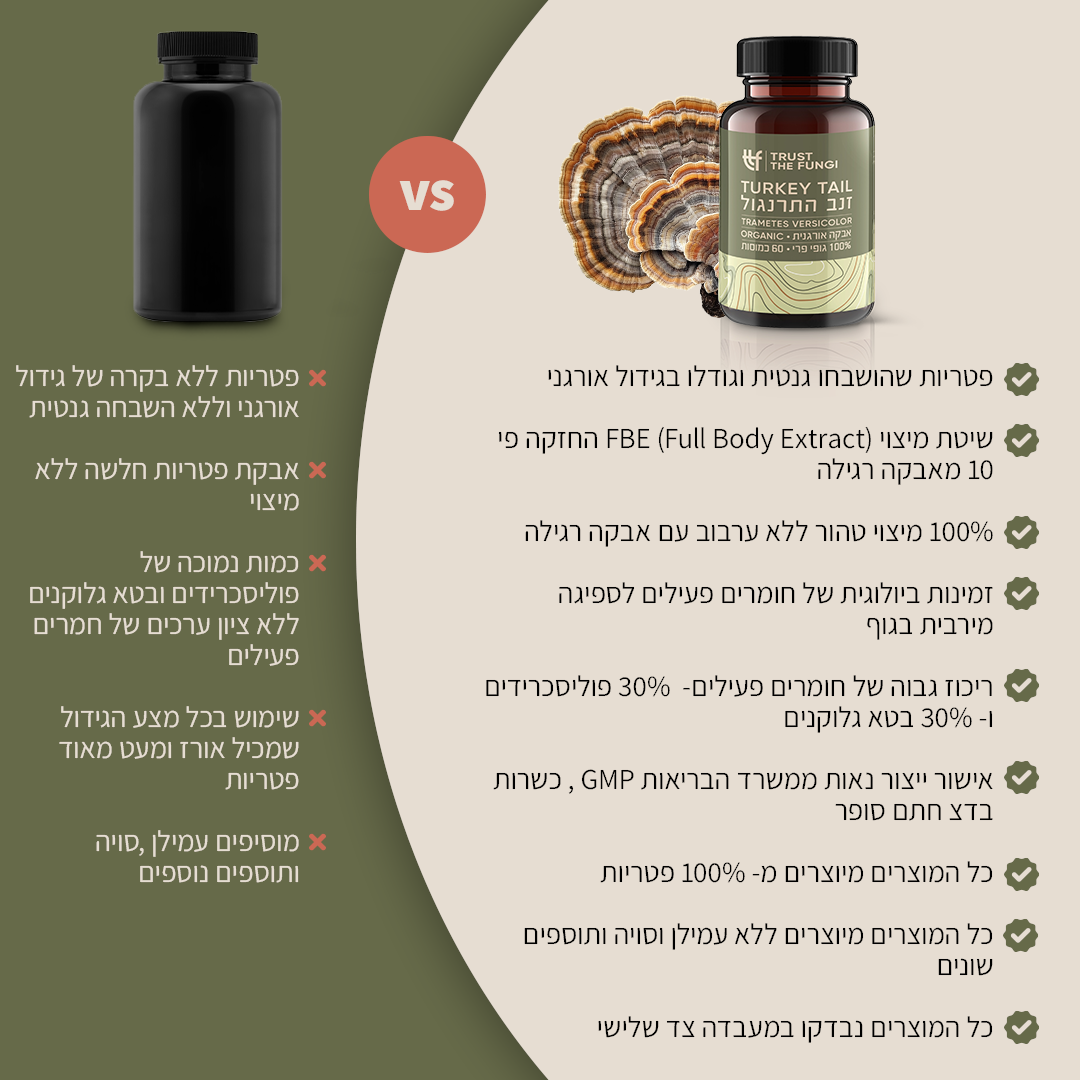 כמוסות פטריית זנב התרנגול Turkey Tail מיצוי 100% גופי פרי בשיטת FBE