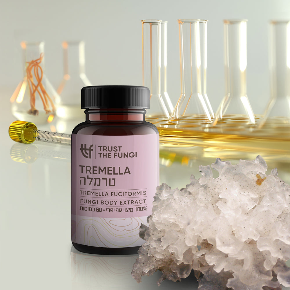 
                  
                    פטריית טרמלה (Tremella fuciformis)  - מיצוי 100% גופי פרי בשיטת FBE + מברשת עיסוי פנים במתנה !
                  
                