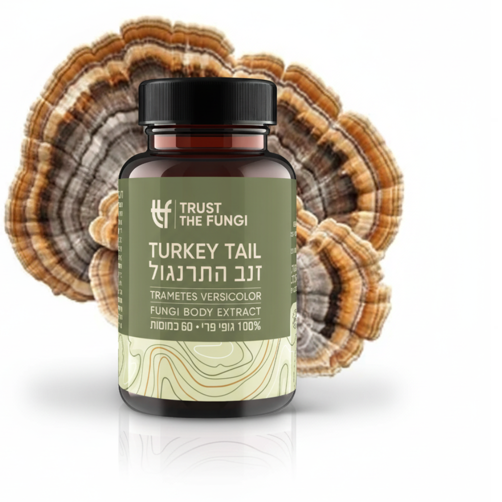 כמוסות פטריית זנב התרנגול Turkey Tail מיצוי 100% גופי פרי בשיטת FBE