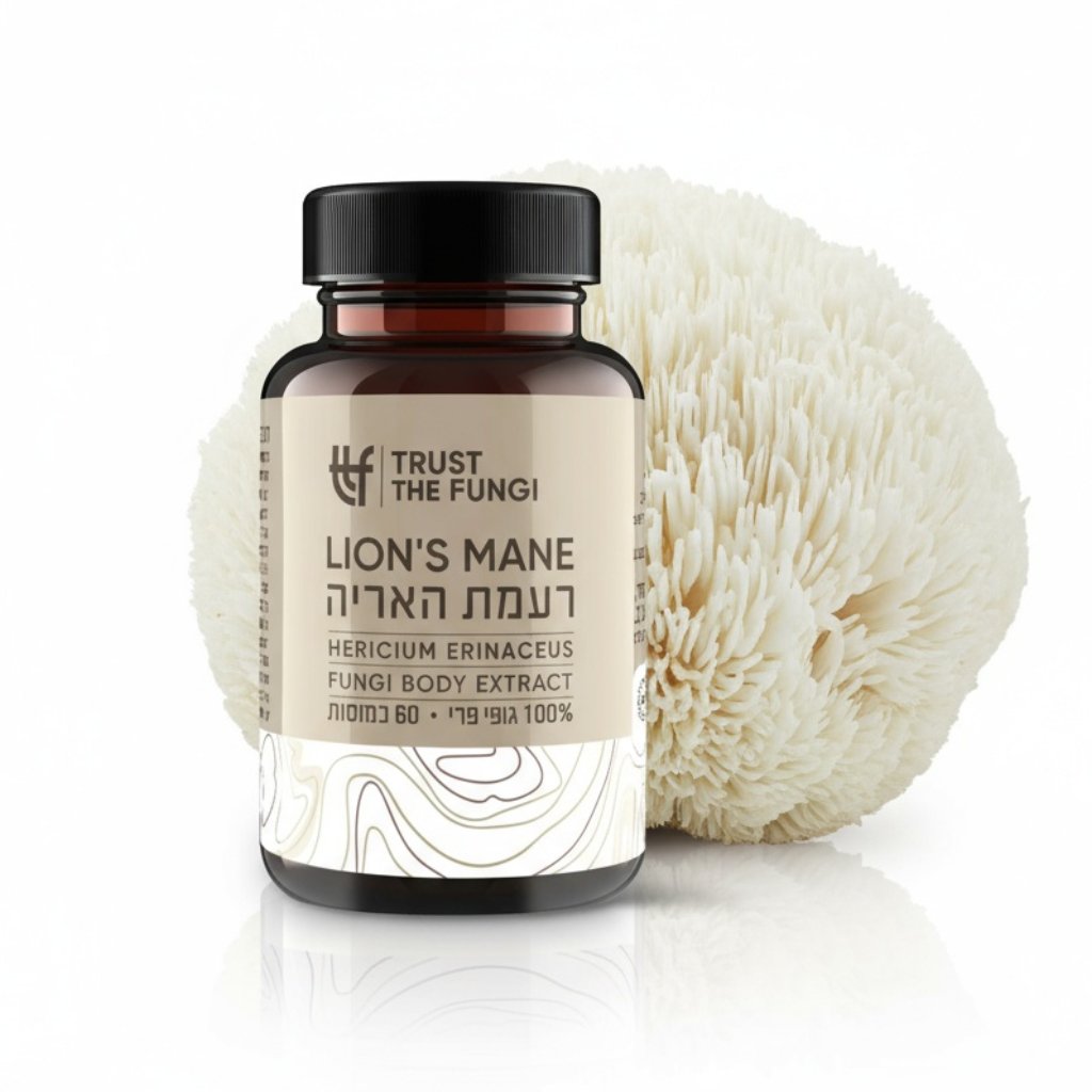 כמוסות פטריית רעמת האריה Lion's Mane מיצוי 100% גופי פרי בשיטת FBE