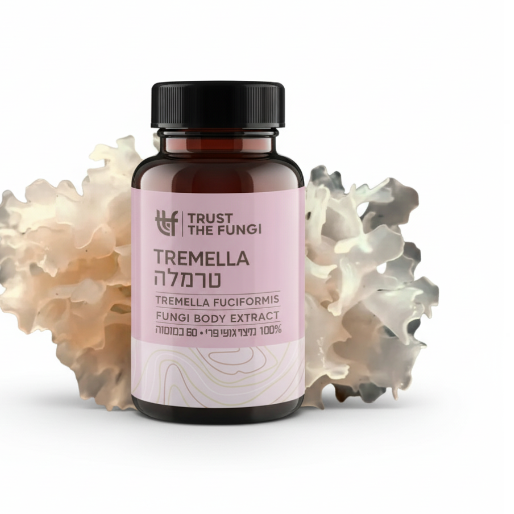 כמוסות פטריית טרמלה Tremella fuciformis מיצוי 100% גופי פרי בשיטת FBE