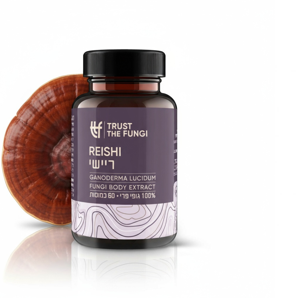 פטריית ריישי Ganoderma Lucidum מיצוי 100% גופי פרי בשיטת FBE