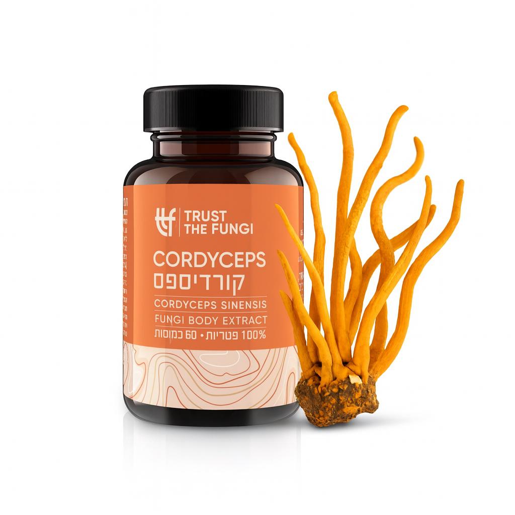 כמוסות פטריית קורדיספס Cordyceps מיצוי 100% פטריות בשיטת FBE